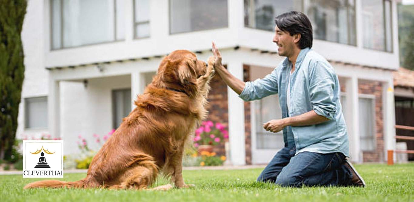 The 3 Best Dog Training Centers in Bangkok