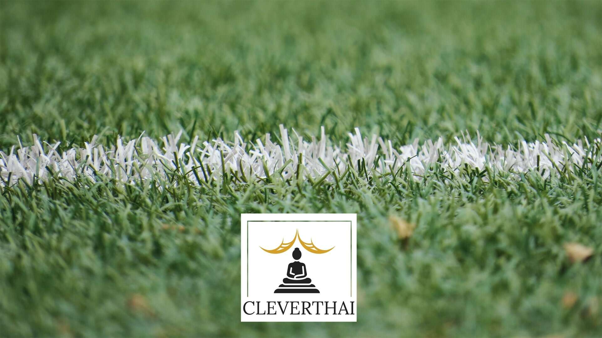 Bangkok's Top 5 Suppliers of Artificial Grass