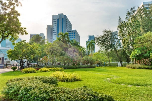 Catch a Break At Lumpini Park