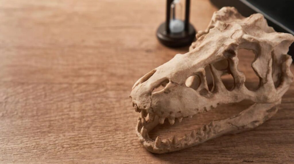 The Evolution of the Monitor Lizard