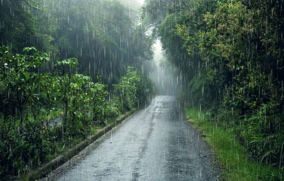Rainy Season in Thailand Clothes to Wear and Essential Things to Pack