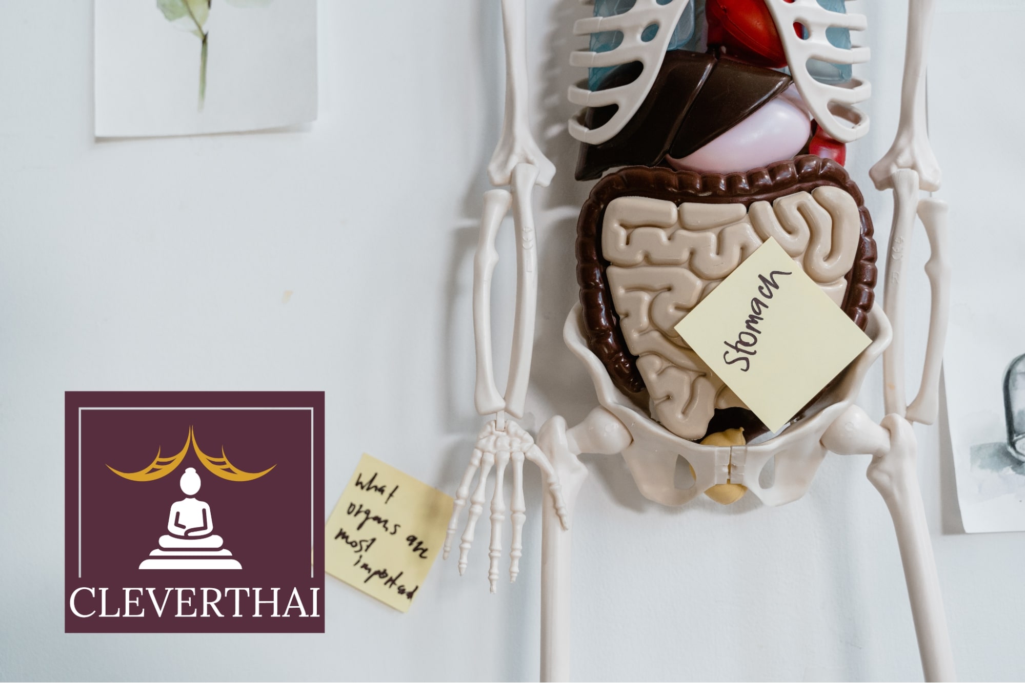 5 Best Gastroenterologists In Bangkok