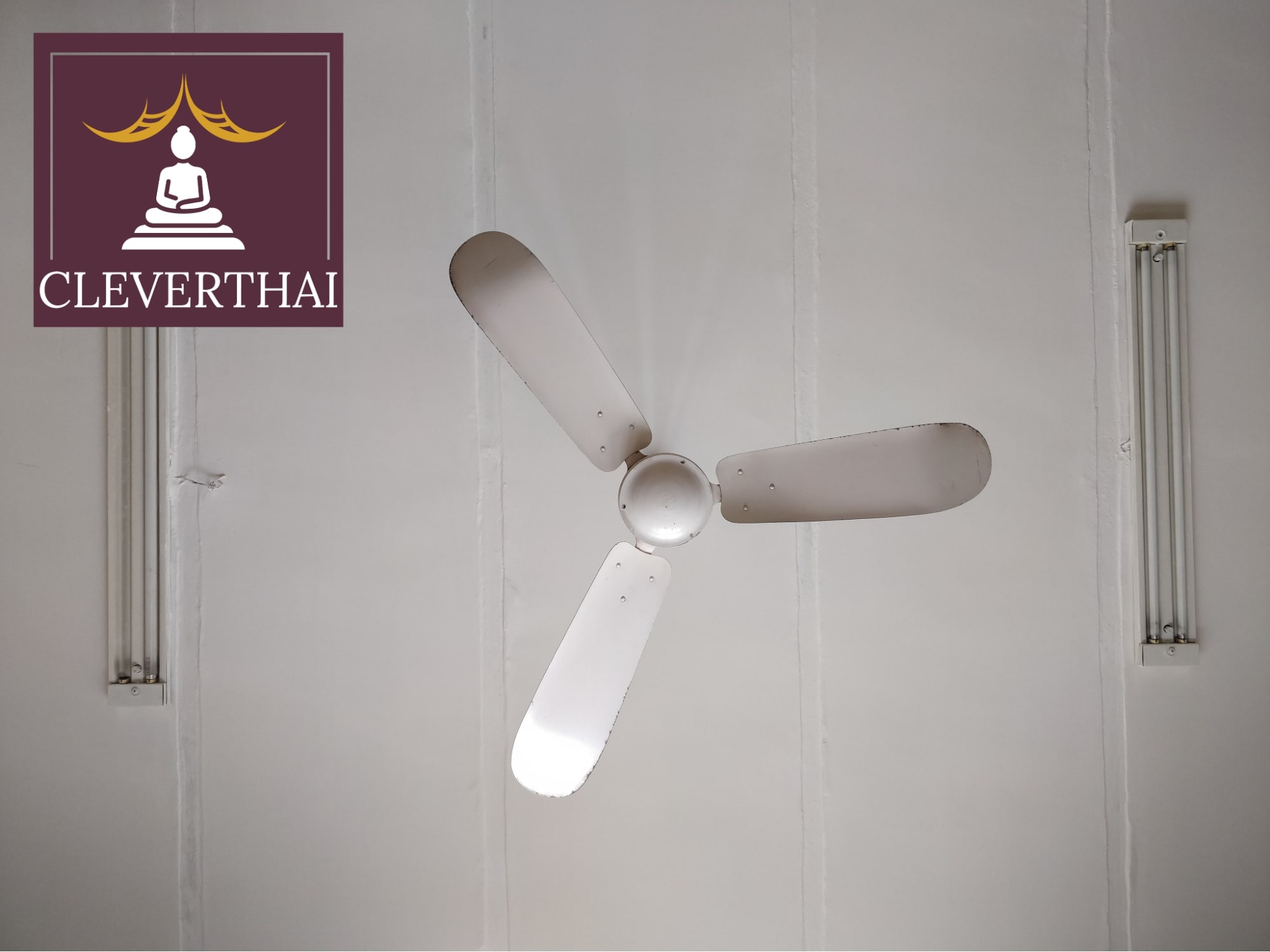 Top 5 Shops For Ceiling Fans In Bangkok