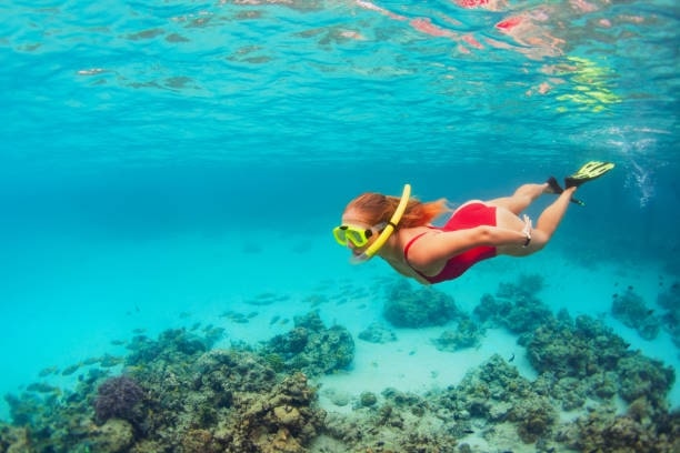 Go snorkelling or diving's Homepage