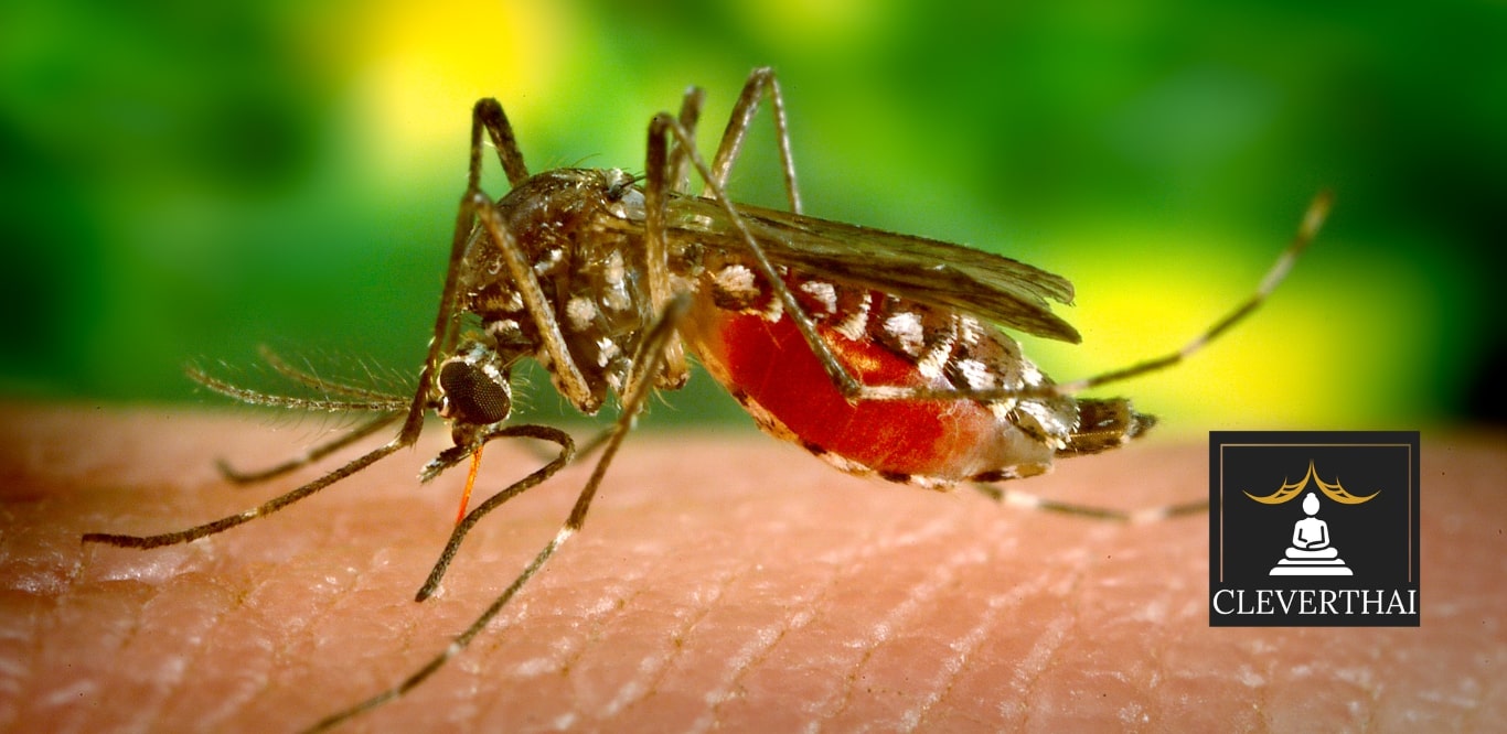 How to prevent mosquito outlet bites while sleeping