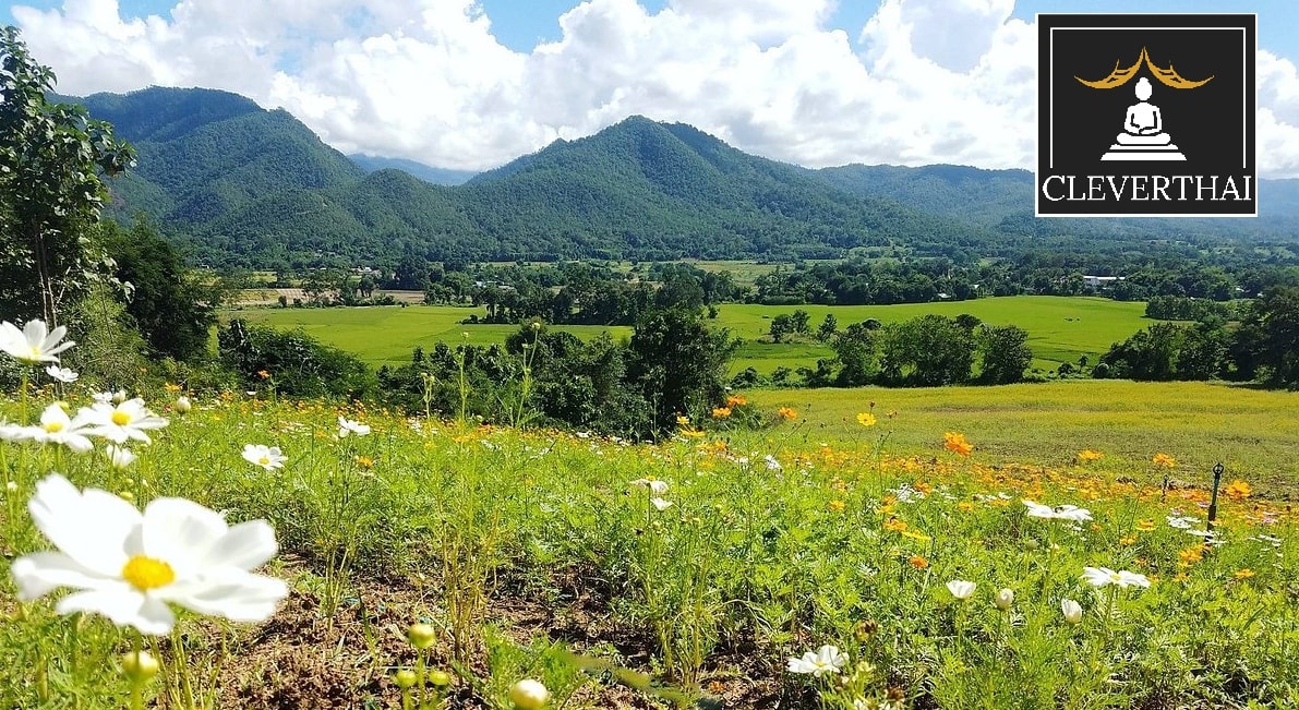 Pai Travel Guide - What You Need to Know to Plan a Vacation in Pai