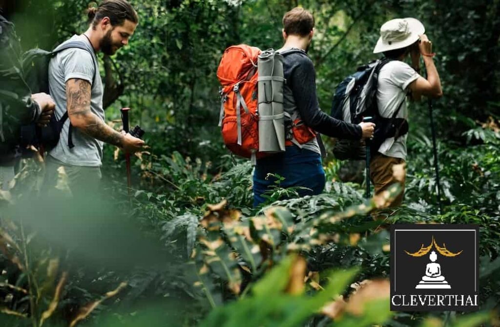 Top 10 Trekking Tours in Chiang Mai