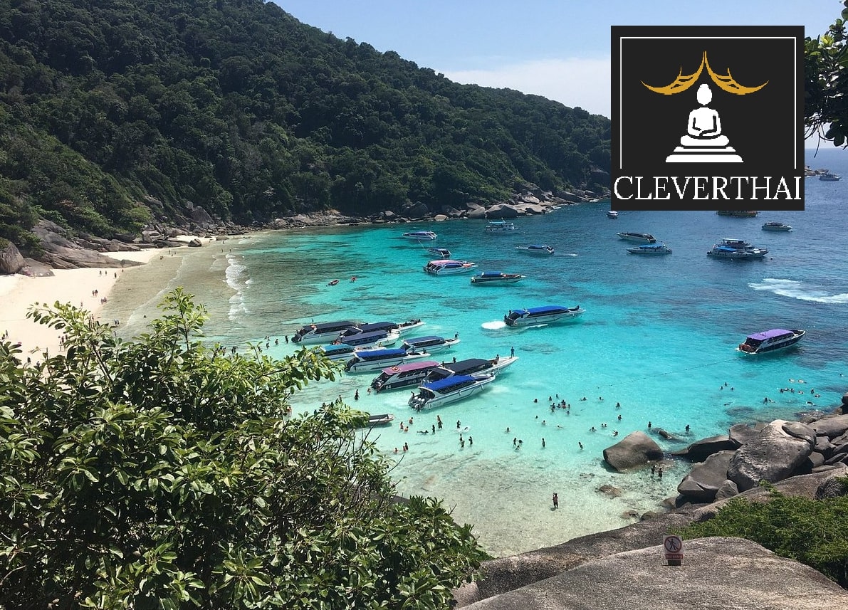 The Ultimate Guide to Diving in the Similan Islands