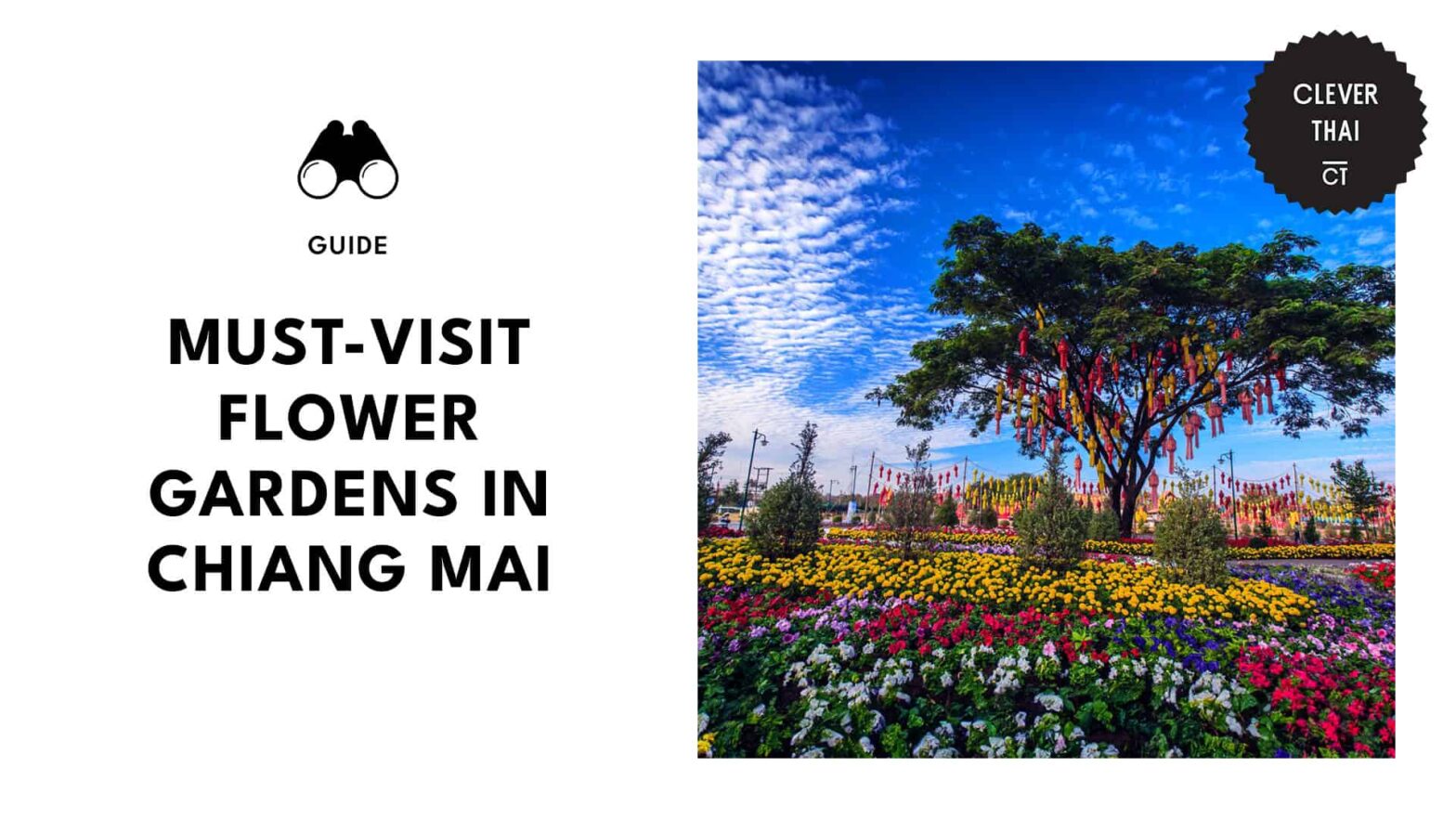 All You NEED to Visit the Best Chiang Mai Flower Gardens