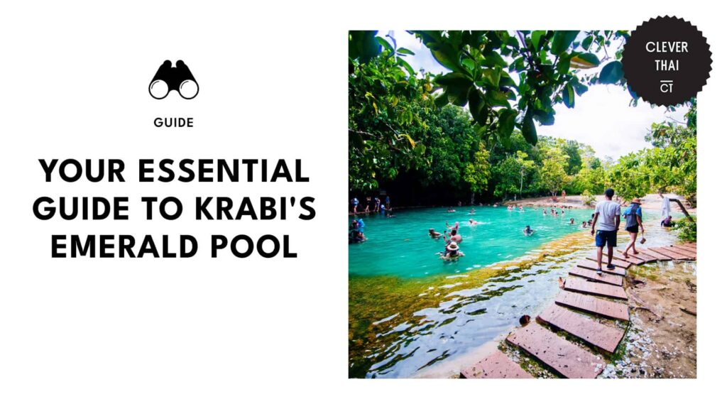 people-enjoying-pool