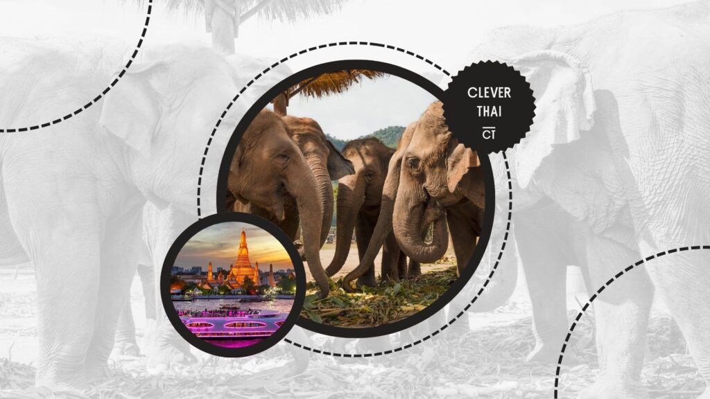chiang-mai-vs-bangkok-local-attractions-and-activities