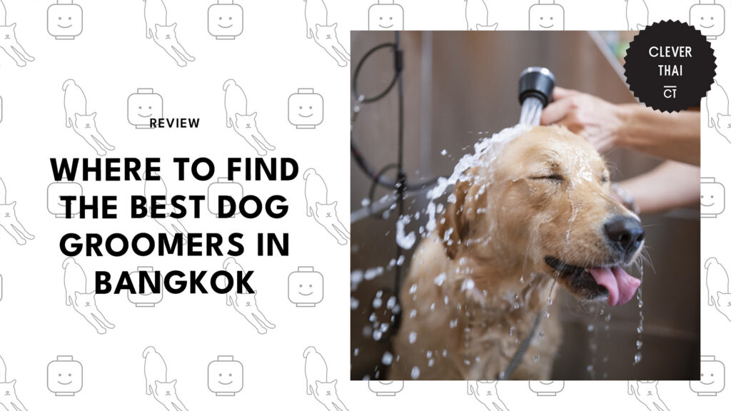 best-dog-groomers-bangkok-banner