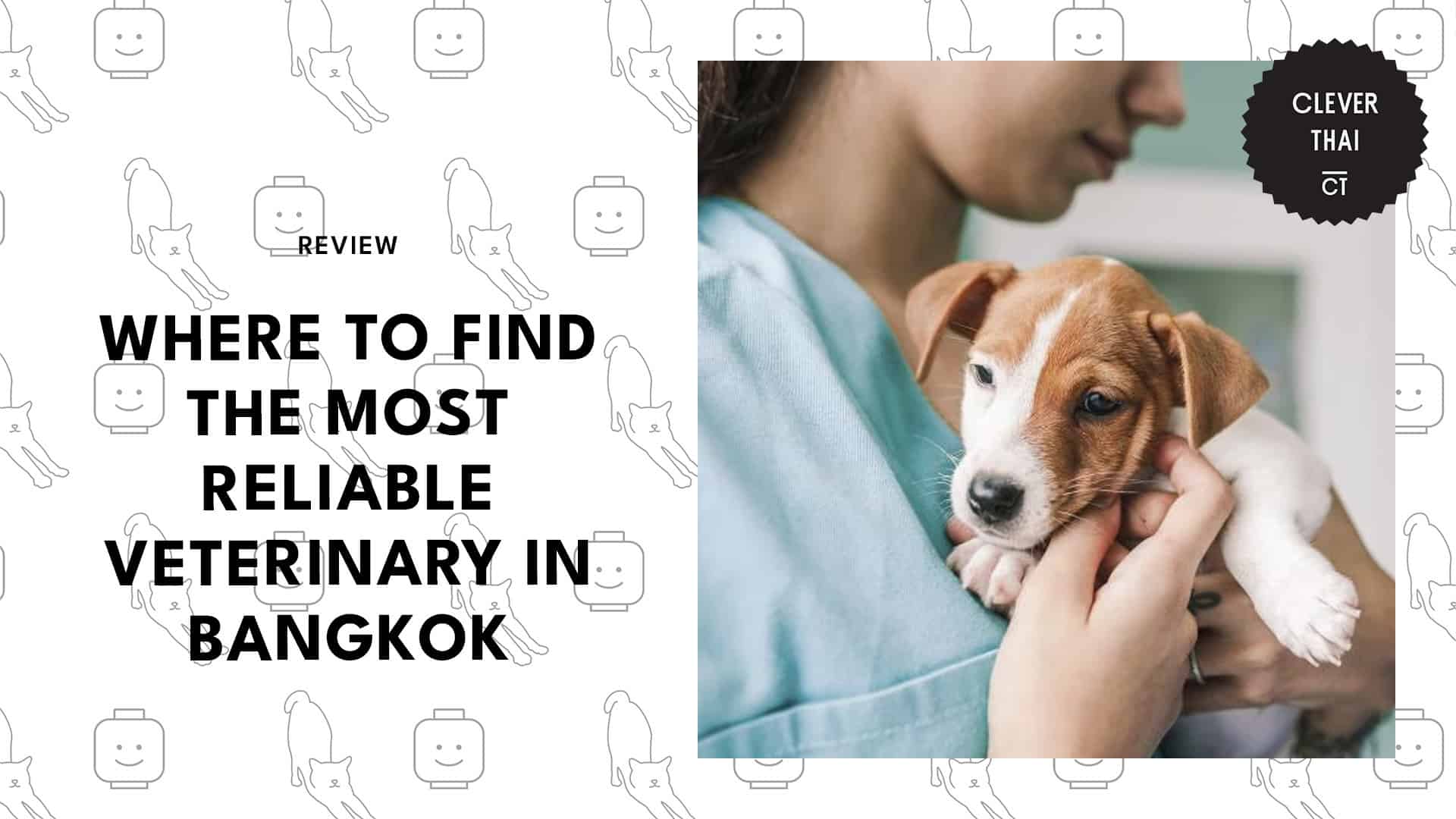 veterinary-clinics-in-bangkok