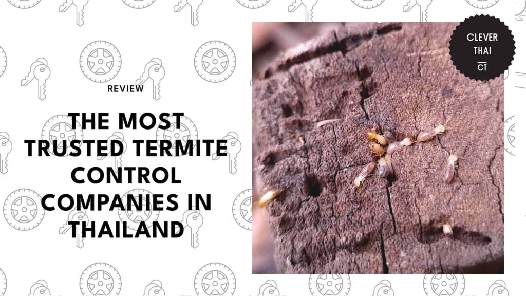 top-termite-controls-thailand-banner