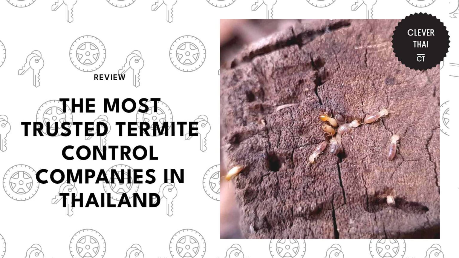 Thailand’s Top 5 Termite Control Services You Can Rely On [2026]