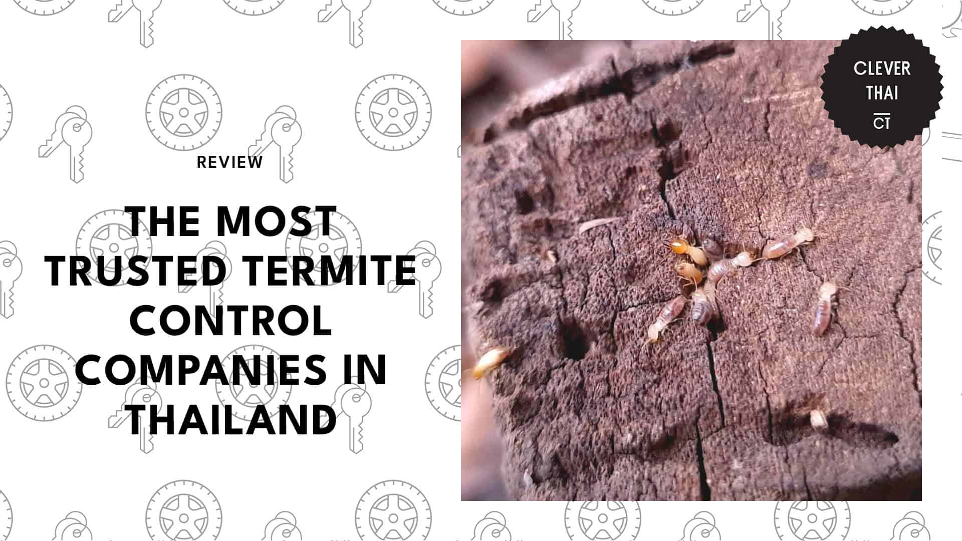 top-termite-controls-thailand-banner